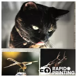 photos on Alu Dibond® / photo printing / rigid brackets / buy / rapidoprinting