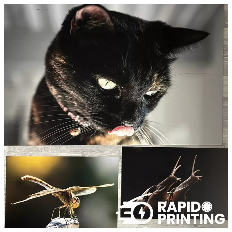 photos on Alu Dibond® / photo printing / rigid brackets / buy / rapidoprinting