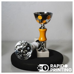 Coupe tradition Orange/coupes et trophées/events sport/acheter/rapidoprinting