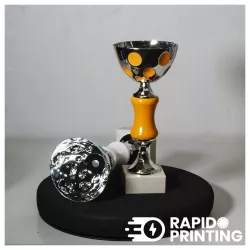 Tradition Orange / cups and trophies / events sports / buy / rapidoprinting