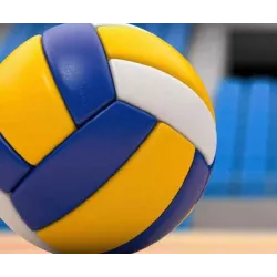 Shorts and Customizable Jerseys / volleyball / buy / Rapidoprinting