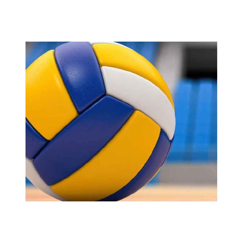 Shorts et maillots personnalisables/volleyball/acheter/Rapidoprinting