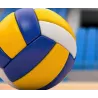 Shorts and Customizable Jerseys / volleyball / buy / Rapidoprinting