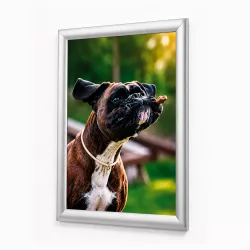 Gray Wall Display Door Snapframe System