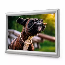 Gray Wall Display Door Snapframe System