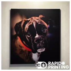 Picture printed on rigid media DIBOND / photo / rigid supports / buy / rapidoprinting