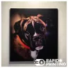 Picture printed on rigid media DIBOND / photo / rigid supports / buy / rapidoprinting