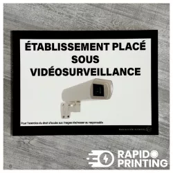 Establishment under video monitoring Forex / information video surveillance / rigid supports / buy / rapidoprinting